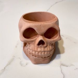 Skull Planter/Organizer